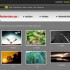 Sfondi per il desktop del proprio pc gratuiti