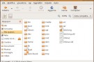 Capire GNU/Linux: le directory Capire GNU/Linux: le directory