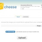Image Cheese