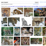 images