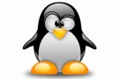 Software libero: Linux festeggia i 20 anni Software libero: Linux festeggia i 20 anni