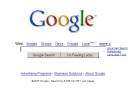 Google propone mappe anche offline Google propone mappe anche offline