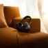Come ascoltare musica e giocare in pieno comfort