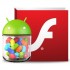 Installare Adobe Flash Player in Android Jelly Bean