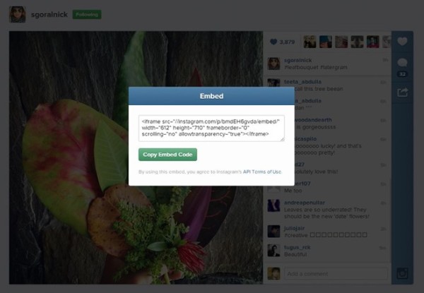 How-to-embed-Instagram-videos-and-photos-on-a-website-Step-5