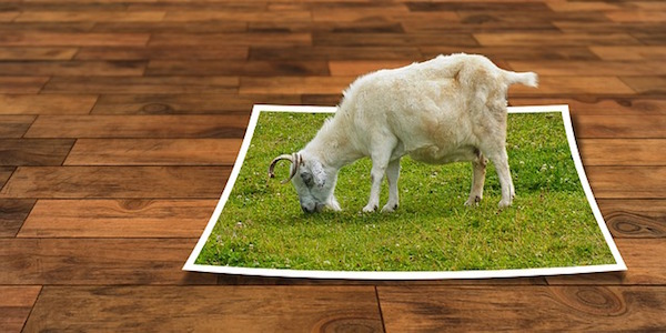 Foto tridimensionale che mostra una capra