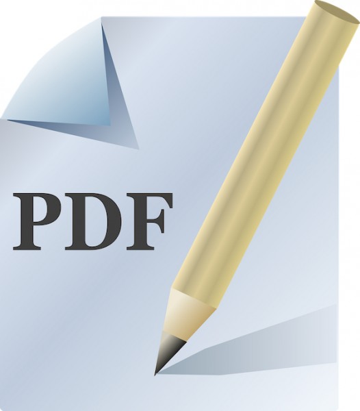 Immagine che mostra un documento PDF