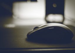 Mouse