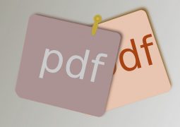 PDF