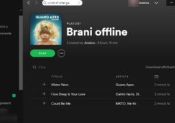 Ascoltare Spotify offline su Windows